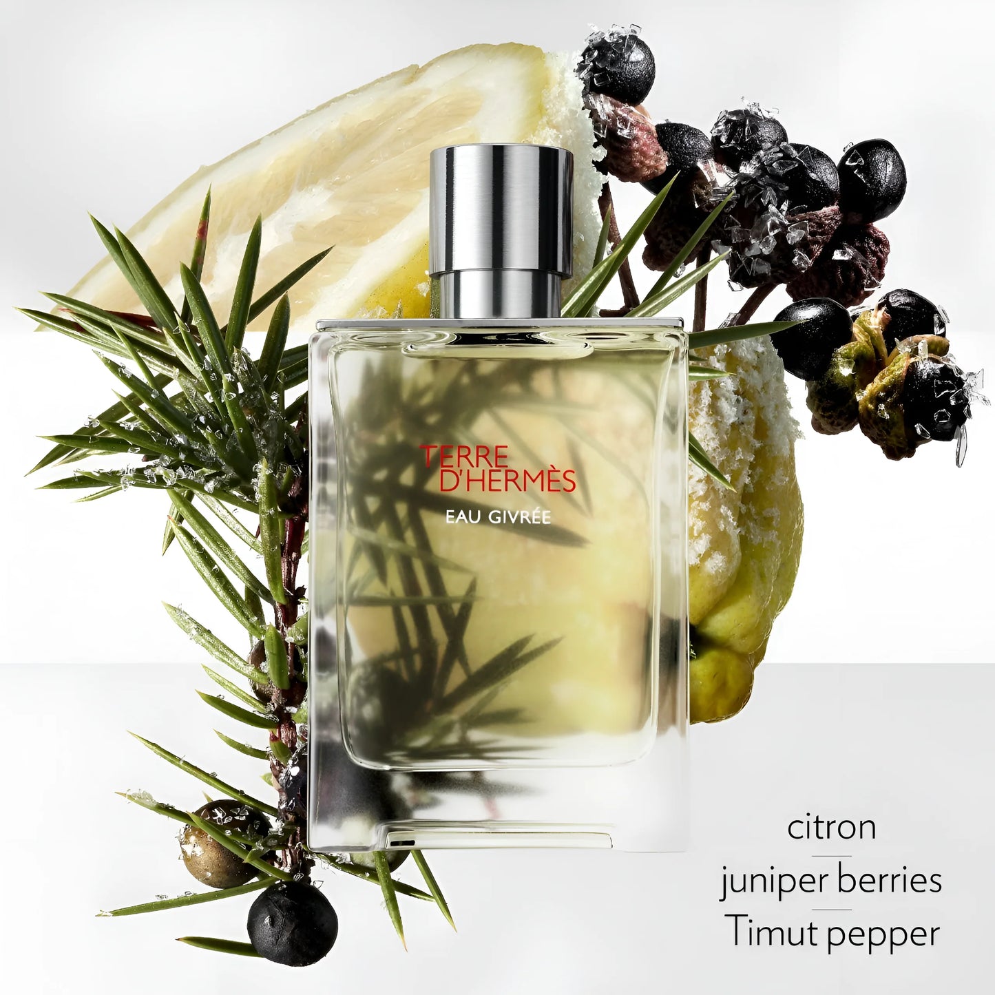 Terre d’Hermès EDP 75ml Tester