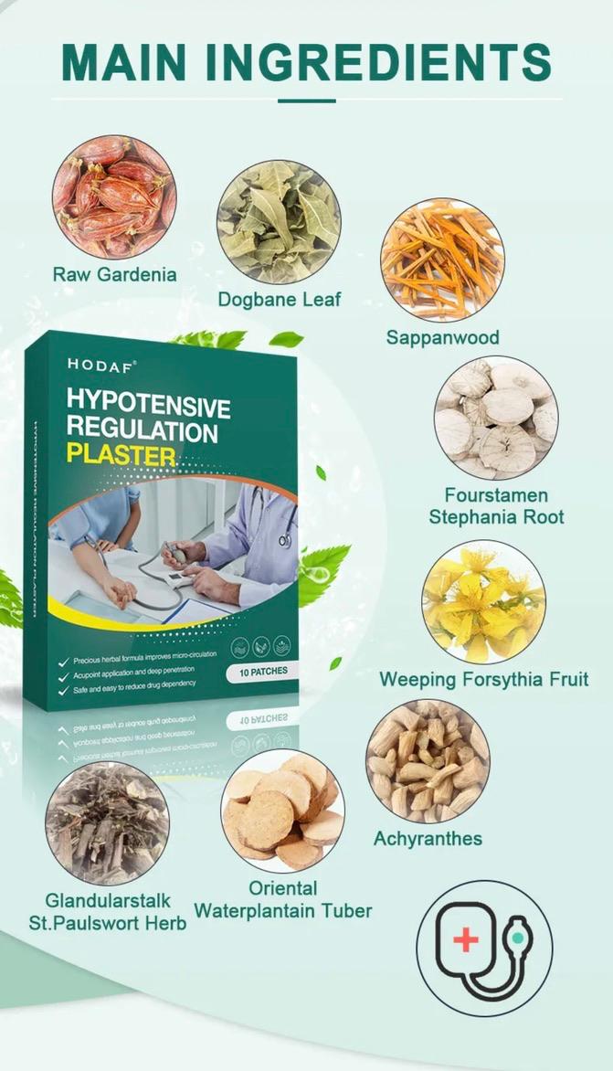 HODAF Hypotensive Regulation Plaster (10 Patches)