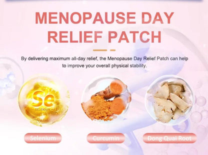 Hodaf Menopause Day Relief Patch (30 Pcs)