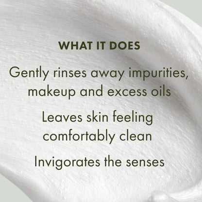 Origins Checks & Balances Face Wash 150ml