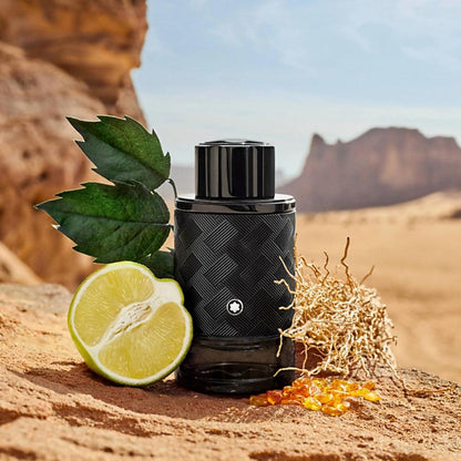 Mont Blanc Explorer EDP 100ml